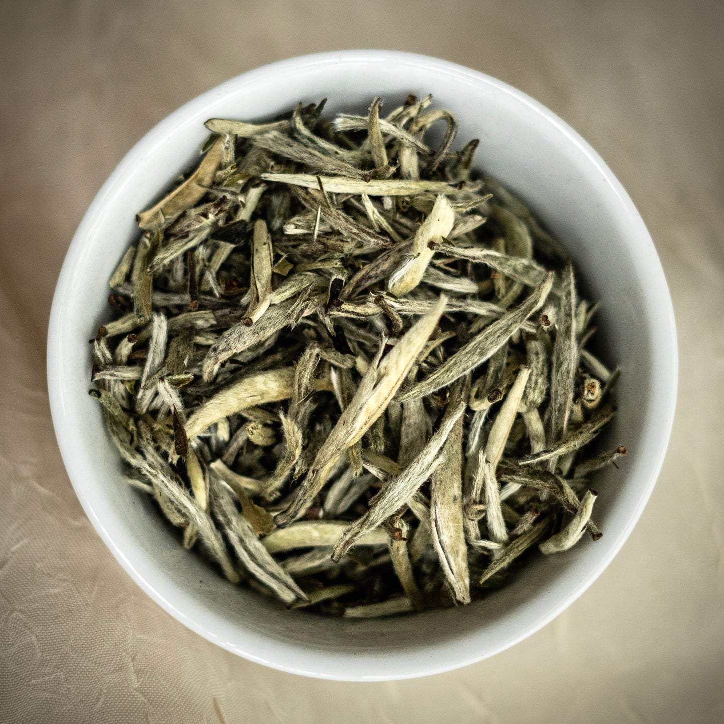 White Silver Needle