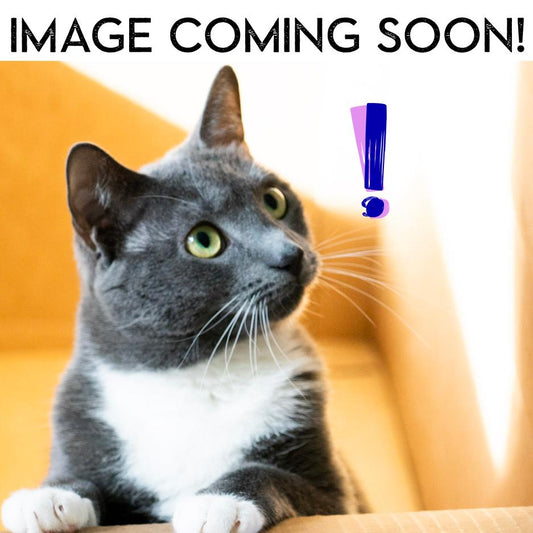 photo of a cat with text that says image coming soon