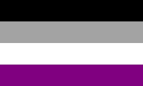 Mini Asexual Pride Flag