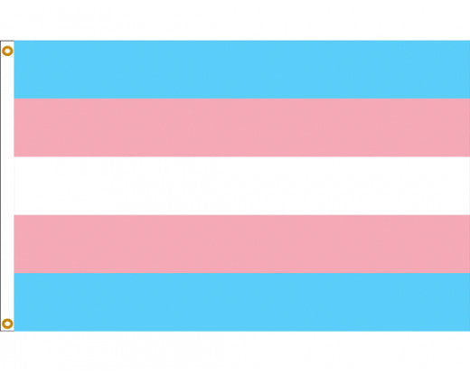Mini Trans Mini Trans Pride Flag – Dandelion Teahouse & Apothecary