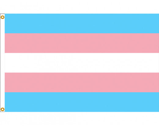 Mini Trans Pride Flag